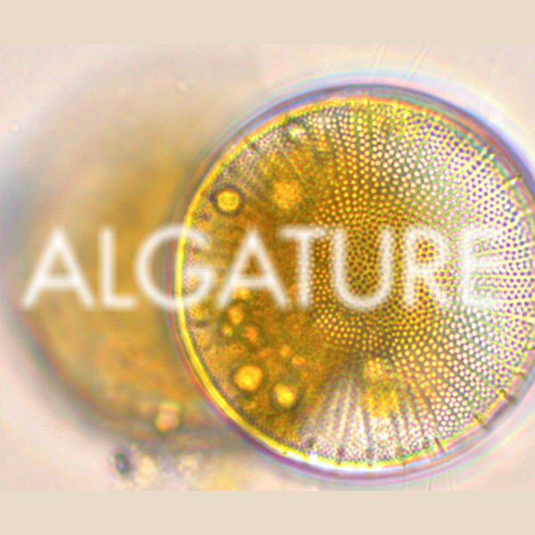 Algature hompage